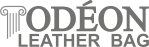 Odeon Leather Bag